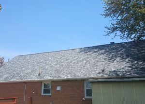 A sloped roof with gray shingles on a single-story brick house, with a tree branch visible on the right and a clear blue sky above.