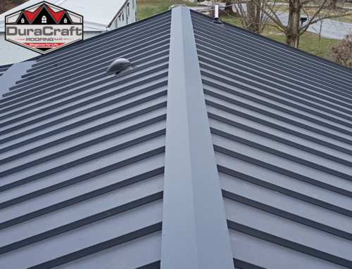 Nell Harper Case Study – From Helpless… to Fully Protected